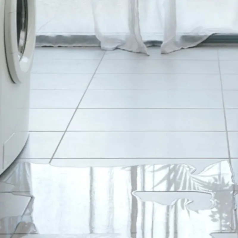 Appliance Leak Cleanup in Snoqualmie, WA